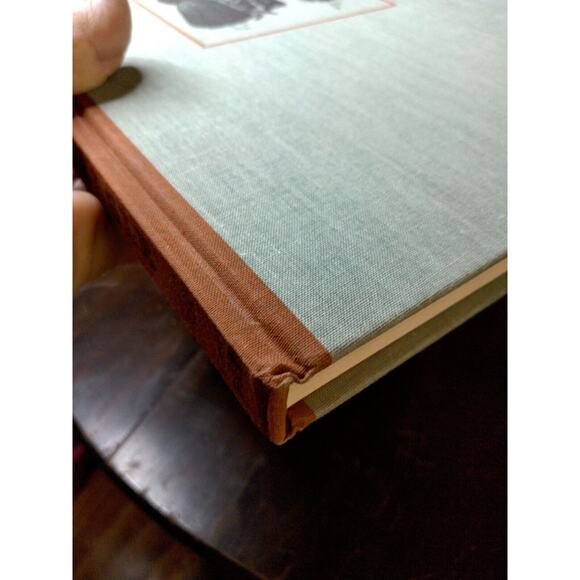 The Sign of The Eagle 1970 First HB DJ A Copley Book Lith John Phillips, etc - Picture 4 of 12